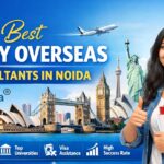Study Abroad Consultants in Noida
